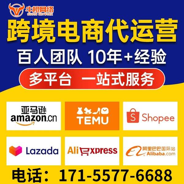 秦皇岛电商代运营