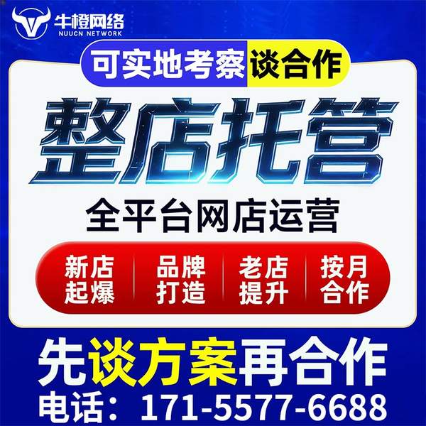 秦皇岛电商代运营