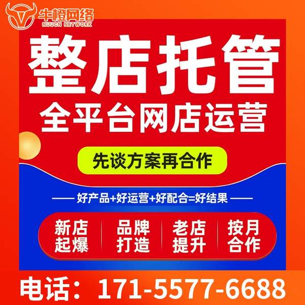 秦皇岛电商代运营