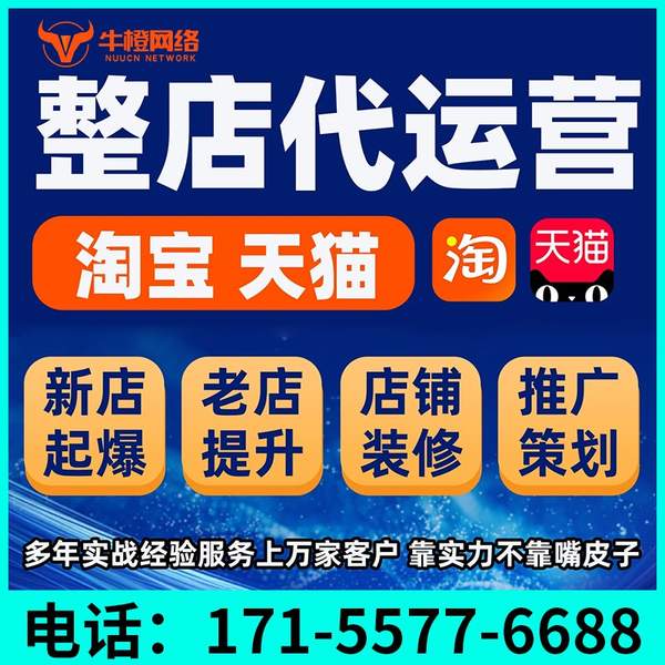 秦皇岛电商代运营