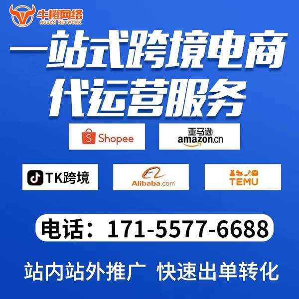 秦皇岛电商代运营